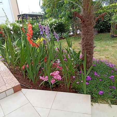Ližnjan Bluegum Apartments מראה חיצוני תמונה