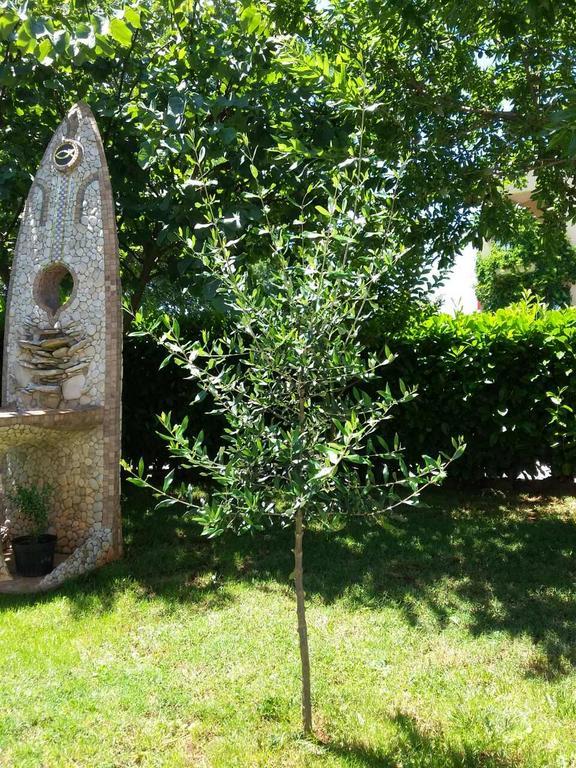 Ližnjan Bluegum Apartments מראה חיצוני תמונה